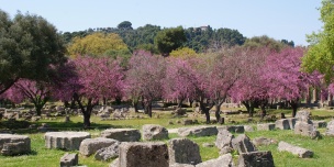 ������� �������